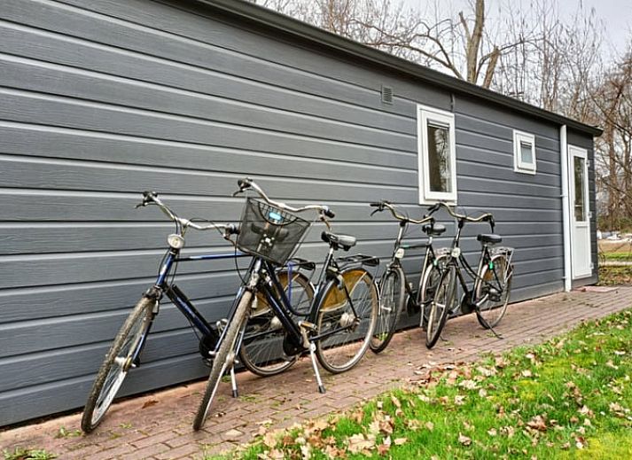 Ferienhaus in Oosterwolde, gelegen in den friesischen Waeldern von Friesland, mit einer gemuetlichen Veranda und umgeben von viel Gruen.