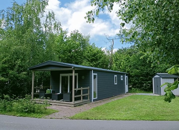 Ferienhaus in Oosterwolde, gelegen in den friesischen Waeldern von Friesland, mit einer gemuetlichen Veranda und umgeben von viel Gruen.