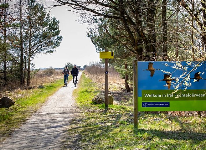 Fahrraeder geparkt im Ferienhaus in Oosterwolde, einer charmanten Unterkunft in den friesischen Waeldern, ideal fuer Naturliebhaber.