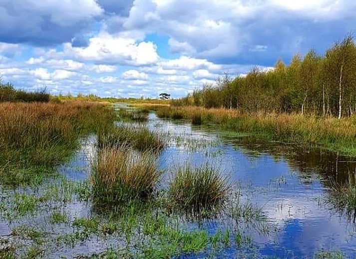 Fahrraeder geparkt im Ferienhaus in Oosterwolde, einer charmanten Unterkunft in den friesischen Waeldern, ideal fuer Naturliebhaber.