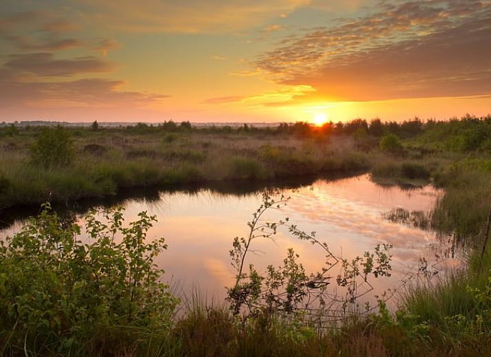 Ferienhaus in Oosterwolde, in den friesischen Waeldern von Friesland gelegen, mit Veranda und gruener Umgebung.
