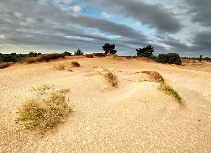 Gemuetliches Wohnzimmer des Ferienhauses in Oosterwolde, Friesland, mit bequemer Sitz- und Essecke in den friesischen Waeldern.