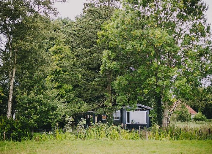 Stimmungsvoller Abend im Ferienhaus in Oosterwolde, umgeben von friesischen Waeldern in Friesland.