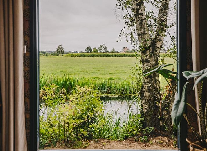 Stimmungsvoller Abend im Ferienhaus in Oosterwolde, umgeben von friesischen Waeldern in Friesland.