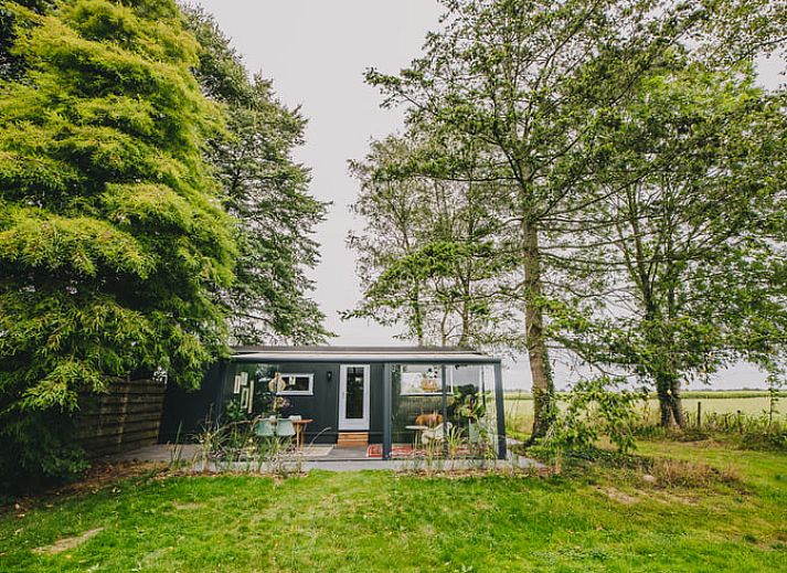 Ein sonniger Tag im Ferienhaus in Oosterwolde, mit Blick auf die Natur in Friesland.