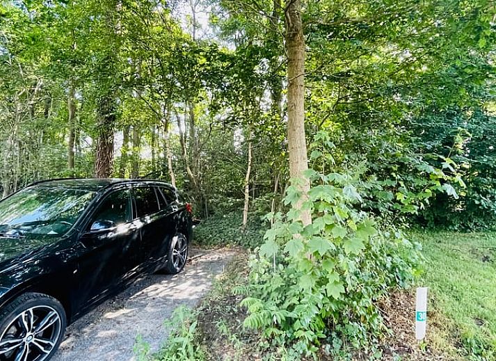 Geraeumige Terrasse am Ferienhaus in Oosterwolde, umgeben von gruener Natur in Friesland.