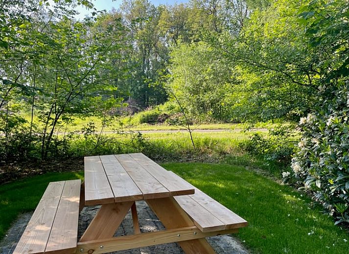 Geraeumige Terrasse am Ferienhaus in Oosterwolde, umgeben von gruener Natur in Friesland.