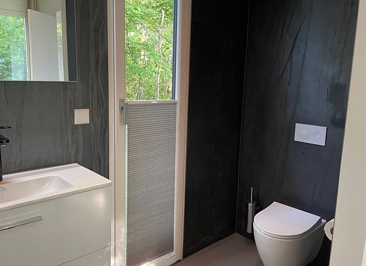 Gruener Garten des Ferienhauses in Oosterwolde, ideal zum Entspannen in den friesischen Waeldern.