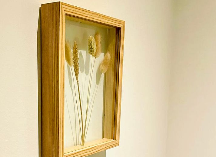 Holzveranda des Ferienhauses in Oosterwolde mit Blick auf die friesische Natur.