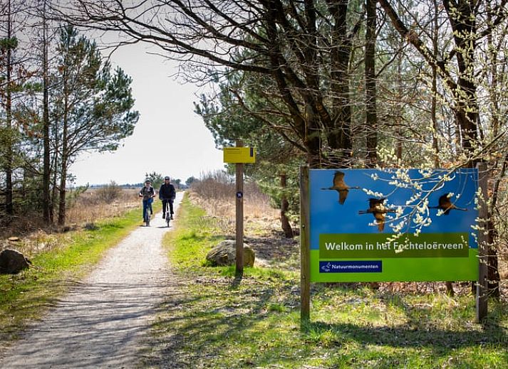 Vacation home in Oosterwolde, located in the Frisian forests of Friesland, with a wooden terrace and surrounded by green nature.