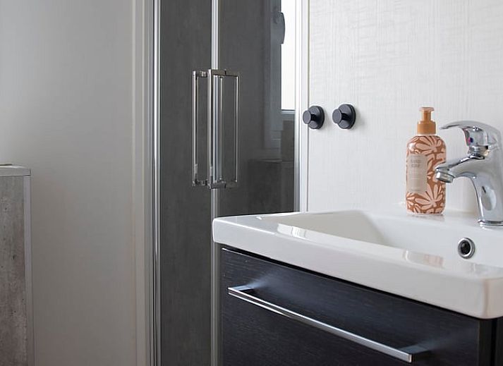 Vacation home in Oosterwolde, located in the Frisian forests of Friesland, with a wooden terrace and surrounded by green nature.