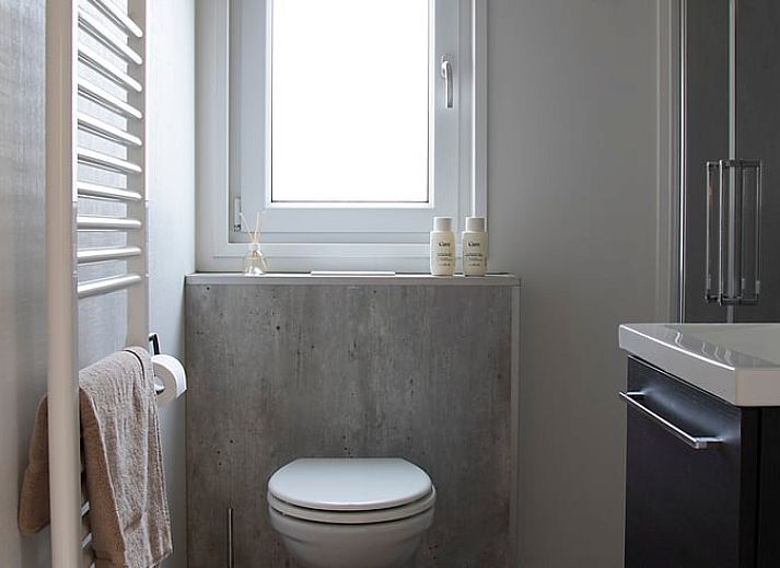 Vacation home in Oosterwolde, located in the Frisian forests of Friesland, with a wooden terrace and surrounded by green nature.