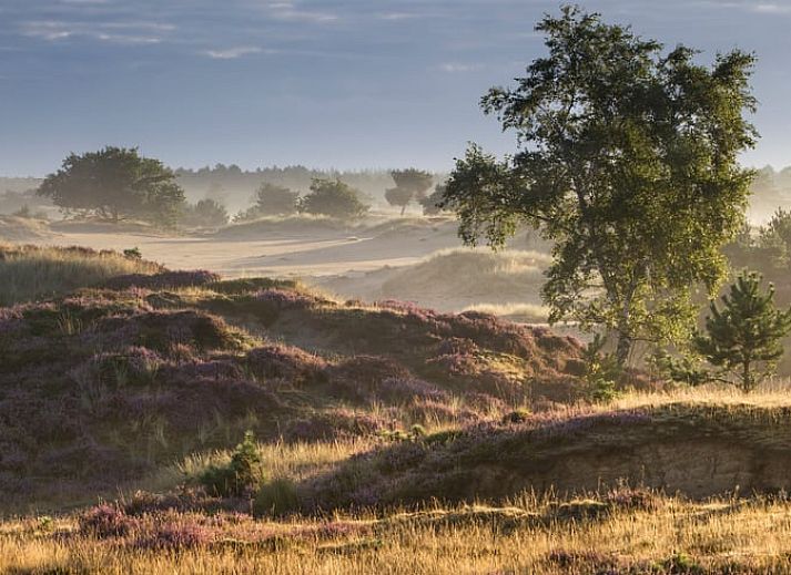 Attractive bedroom in a vacation home in Oosterwolde, Friesland, with modern artwork and comfortable furnishings in the Frisian forests.