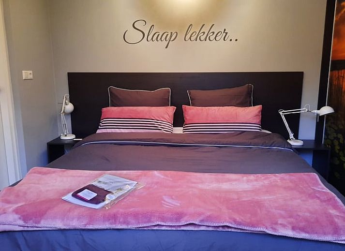 Guest house 231230 - Holiday property Friese bossen - Vakantiehuis in Oosterwolde