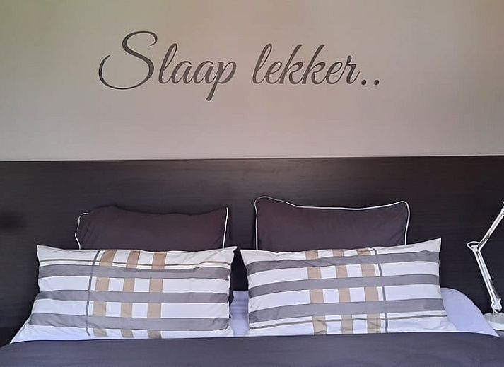 Guest house 231230 - Holiday property Friese bossen - Vakantiehuis in Oosterwolde