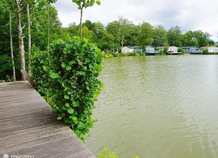 Unterkunft 231231 - Chalet Friese bossen - Vakantiehuis Goudmeer