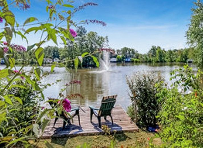 Guest house 231234 - Holiday property Friese bossen - Vakantiehuis in Oosterwolde