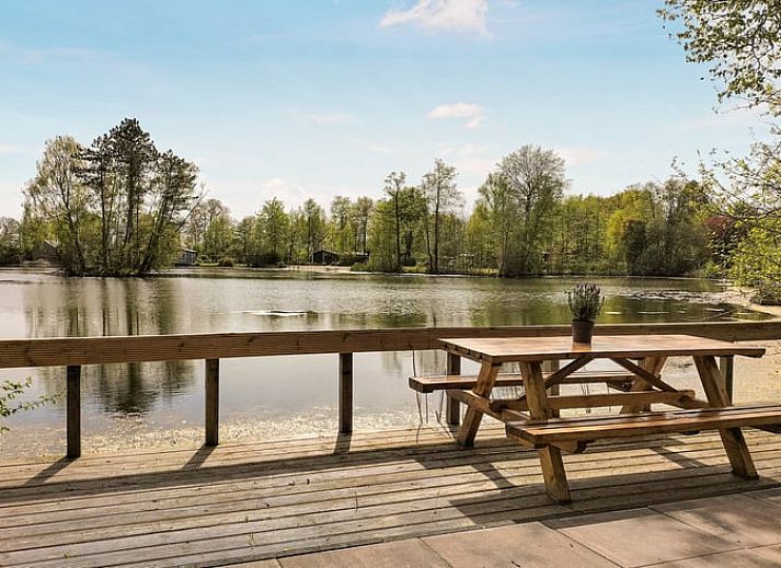 Guest house 231234 - Holiday property Friese bossen - Vakantiehuis in Oosterwolde