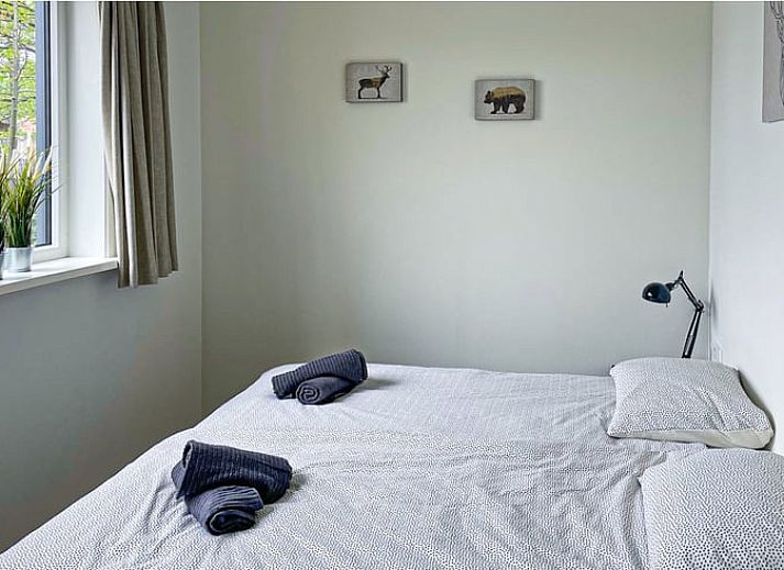 Guest house 231234 - Holiday property Friese bossen - Vakantiehuis in Oosterwolde