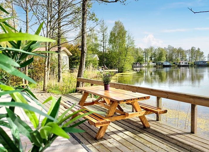 Guest house 231234 - Holiday property Friese bossen - Vakantiehuis in Oosterwolde