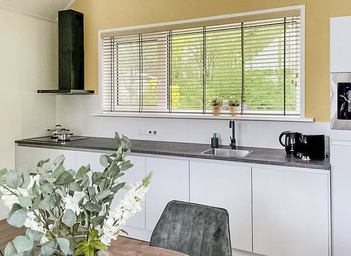 Guest house 231234 - Holiday property Friese bossen - Vakantiehuis in Oosterwolde