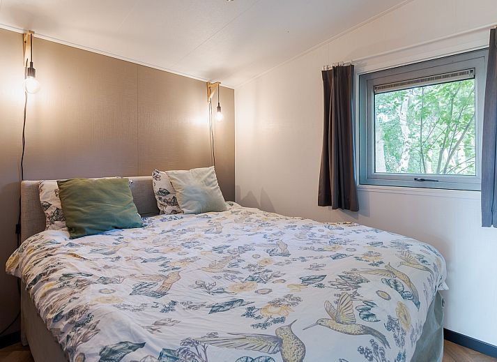 Guest house 231236 - Chalet Friese bossen - Chalet in Oosterwolde