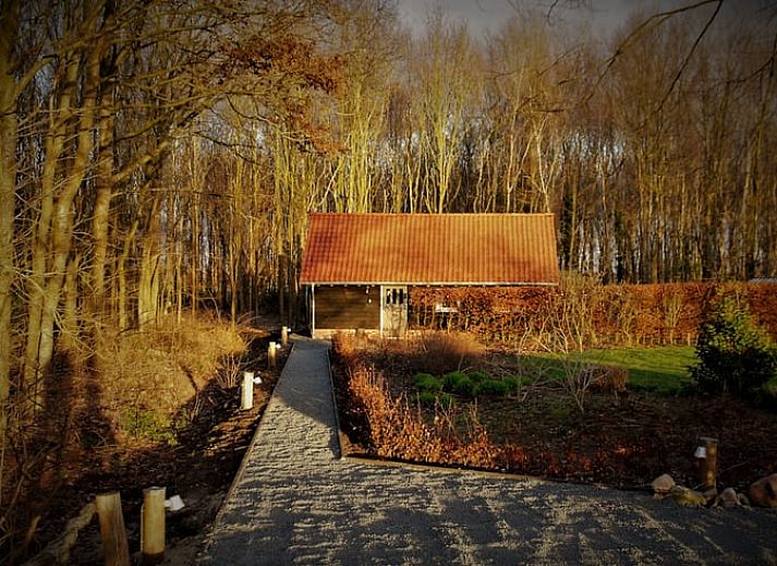 Verblijf 231403 • Vakantiewoning Friese bossen • Natuurhuisje in Haulerwijk