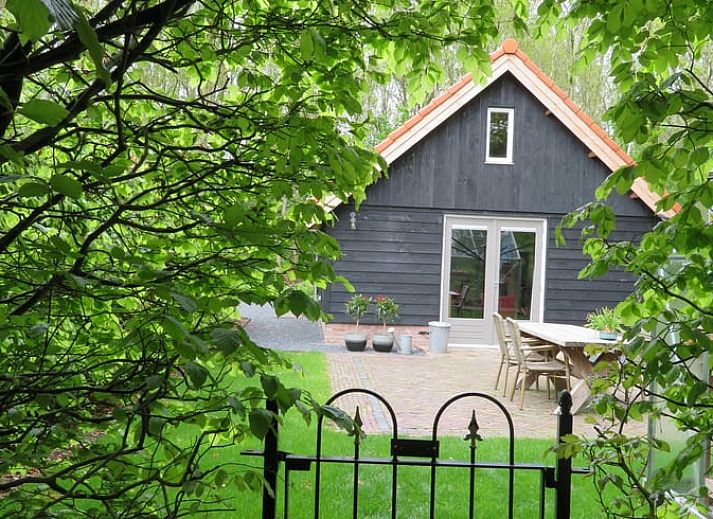Cottage in Haulerwijk, vacation home in the Frisian woods, surrounded by nature in Friesland.