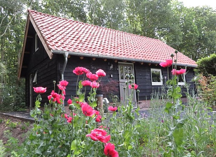 Entrance of Cottage in Haulerwijk, vacation home in Friesland, with green plants.