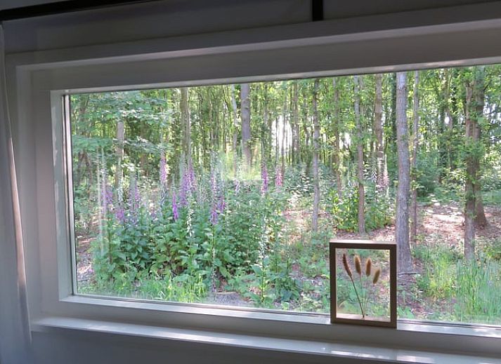 Entrance of Cottage in Haulerwijk, vacation home in Friesland, with green plants.