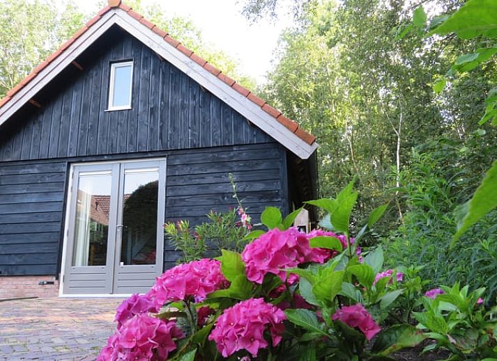 Entrance of Cottage in Haulerwijk, vacation home in Friesland, with green plants.