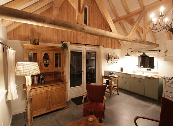 Backyard of Cottage in Haulerwijk, vacation home in Friesland, with terrace and greenery.