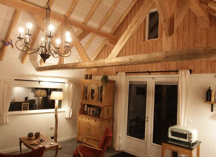 Backyard of Cottage in Haulerwijk, vacation home in Friesland, with terrace and greenery.