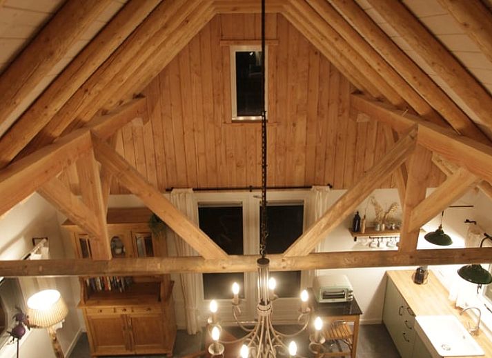 Blooming flowers at Cottage in Haulerwijk, vacation home in the Frisian woods.