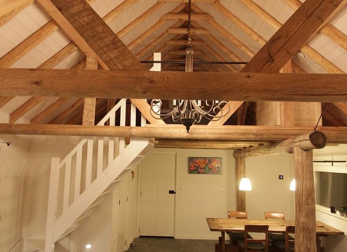 Blooming flowers at Cottage in Haulerwijk, vacation home in the Frisian woods.