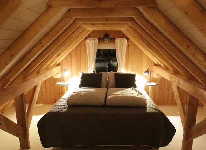 Blooming flowers at Cottage in Haulerwijk, vacation home in the Frisian woods.