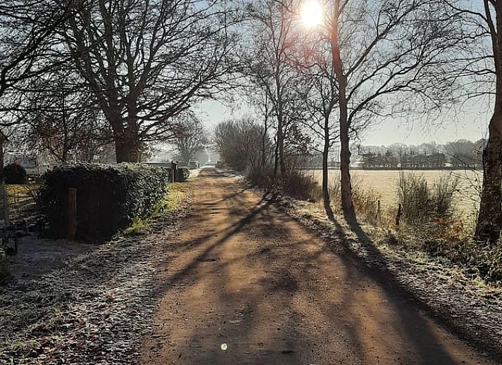Side view of Cottage in Haulerwijk, vacation home surrounded by flowers in Friesland.
