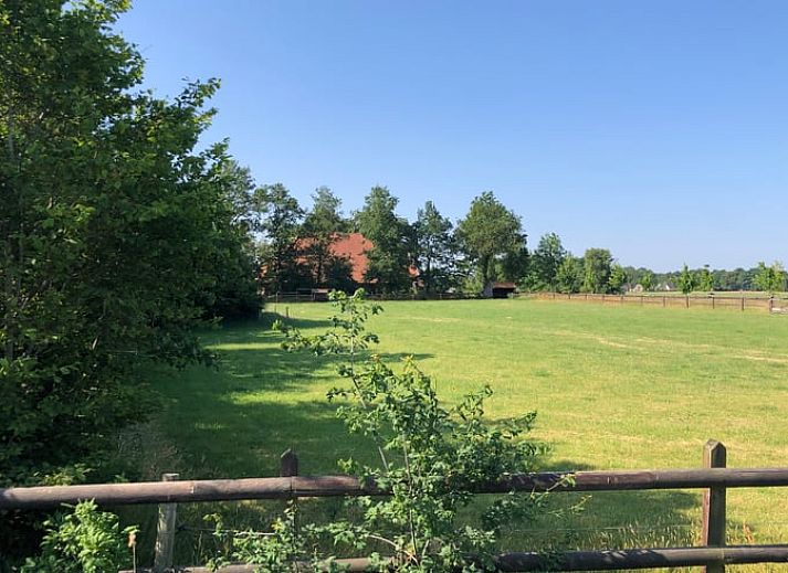 Guest house 231405 - Holiday property Friese bossen - Vakantiehuis in Haulerwijk