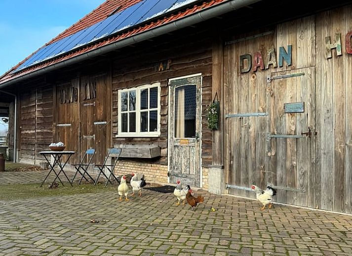 Guest house 231405 - Holiday property Friese bossen - Vakantiehuis in Haulerwijk