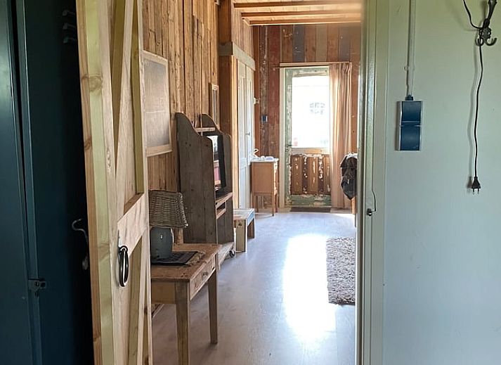 Guest house 231405 - Holiday property Friese bossen - Vakantiehuis in Haulerwijk