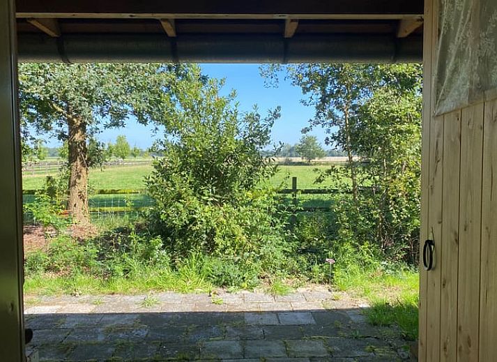 Guest house 231405 - Holiday property Friese bossen - Vakantiehuis in Haulerwijk