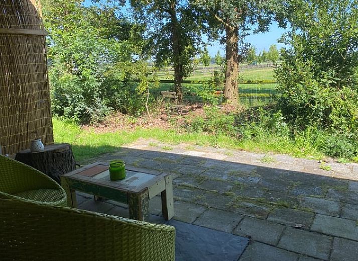 Guest house 231405 - Holiday property Friese bossen - Vakantiehuis in Haulerwijk