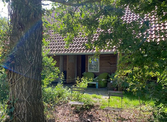 Guest house 231405 - Holiday property Friese bossen - Vakantiehuis in Haulerwijk