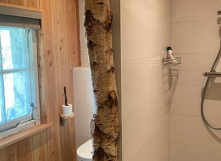 Guest house 231405 - Holiday property Friese bossen - Vakantiehuis in Haulerwijk