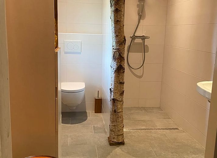 Guest house 231405 - Holiday property Friese bossen - Vakantiehuis in Haulerwijk