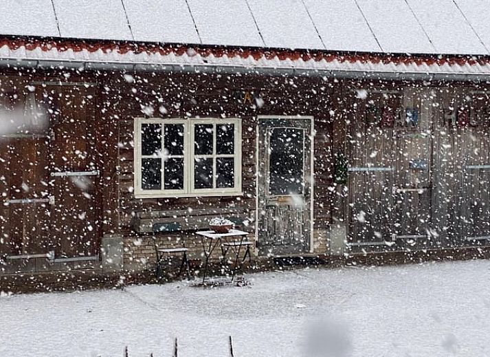 Guest house 231405 - Holiday property Friese bossen - Vakantiehuis in Haulerwijk