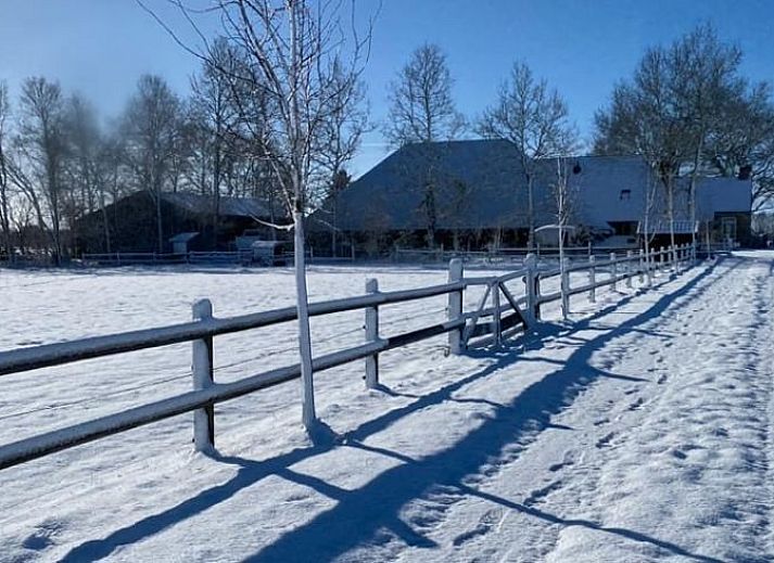 Guest house 231405 - Holiday property Friese bossen - Vakantiehuis in Haulerwijk