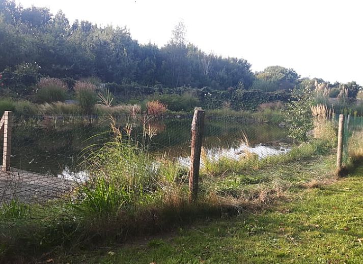Vakantiehuisje in Haulerwijk met veranda, gelegen in de Friese bossen van Friesland, ideaal voor gezinnen.