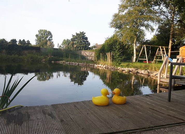 Vakantiehuisje in Haulerwijk met veranda, gelegen in de Friese bossen van Friesland, ideaal voor gezinnen.