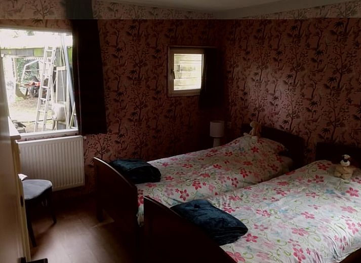 Natuurlijke omgeving van Vakantiehuisje in Haulerwijk, met een vijver en groene bossen in Friesland.